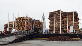 PRAKTISK Ved hjelp av den lange kjørebrua, kan tømmeret kjøres rett inn på lekteren selv fra lite tilgjengelige skogsområder. Drifts- og transportkostnadene reduseres dermed betraktelig. (Foto: Helge Kårstad).
