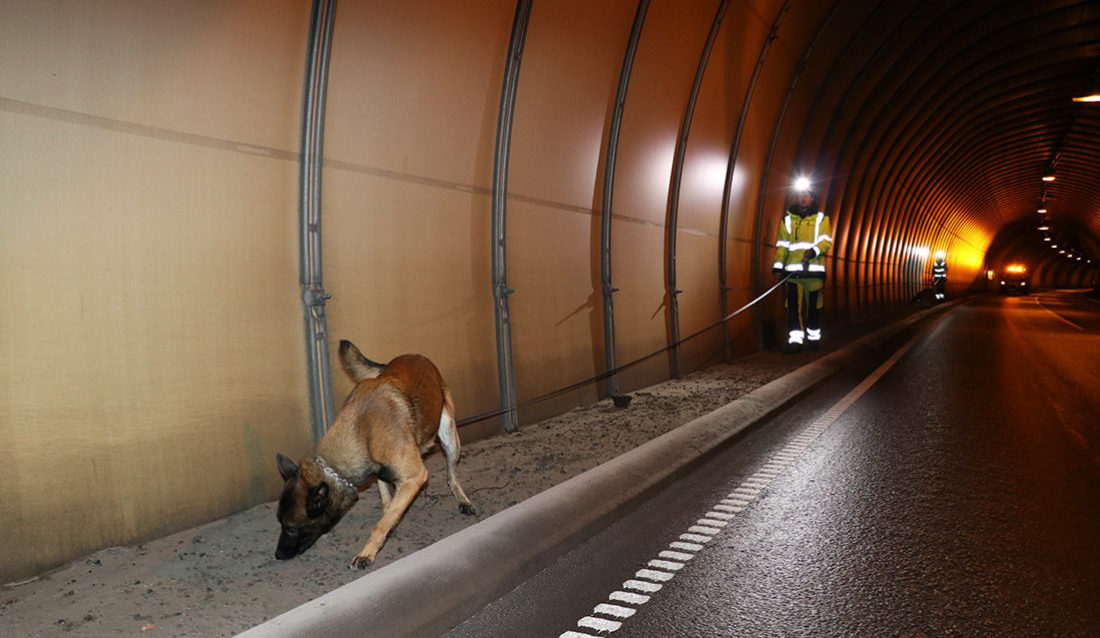 Sprengstoffhund i tunnel
