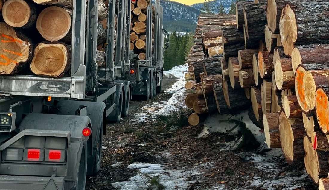 Tømmertransport