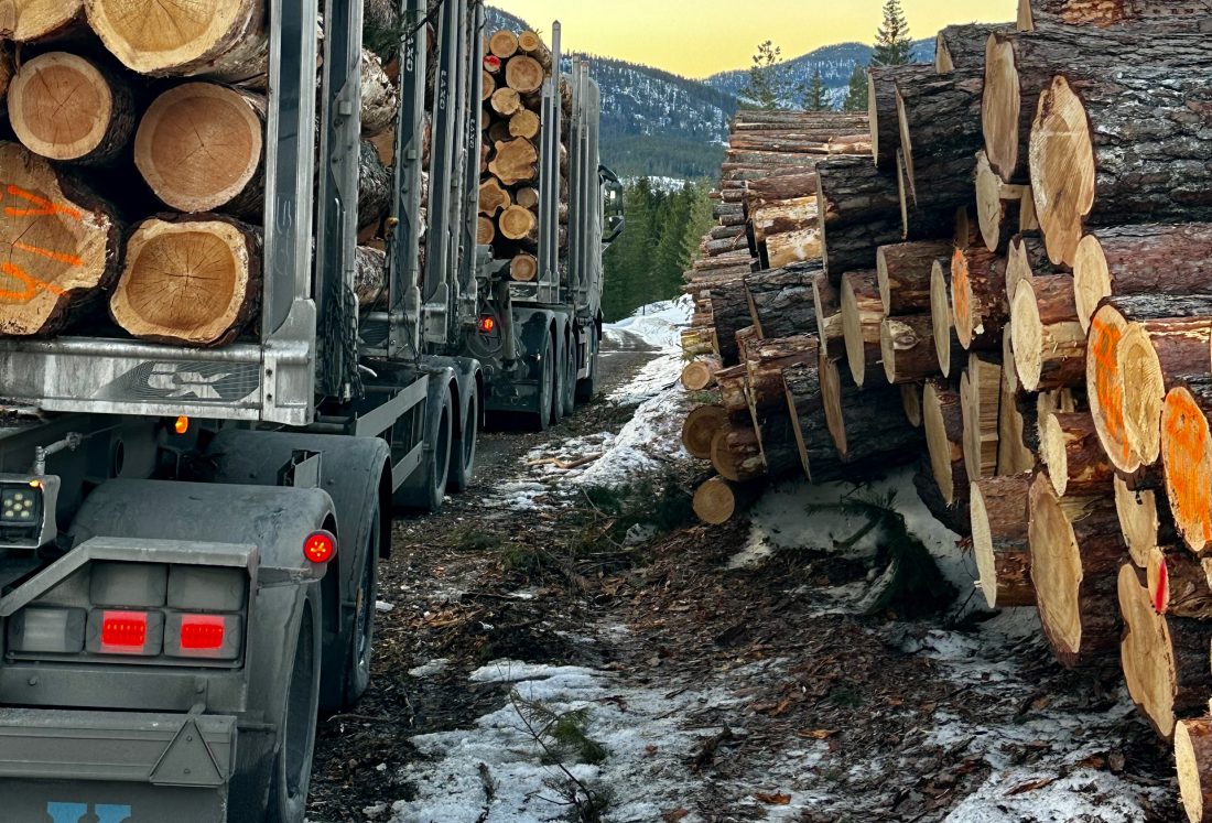 Tømmertransport