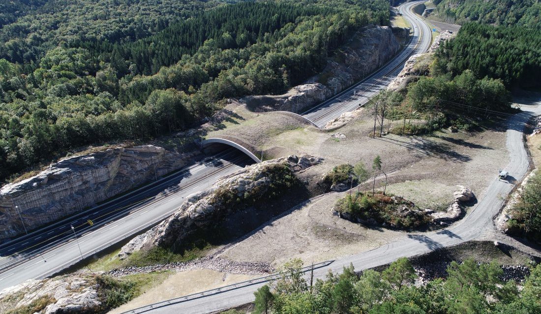 Hæhre Entreprenør fikk vurderingen "excellent" i Breeam Infrastructure for anleggsgjennomføringen av E39 Mandal øst-Mandal by. Her er en viltovergang på strekningen. (Foto: Hæhre Entreprenør)