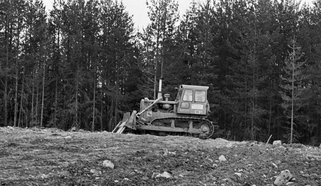 Det er 75 år siden MEF ble etablert. (Foto: MEF)