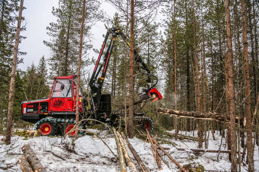Den er ikke et vanlig syn i Norge, kombimaskinen Terri 3CW. Her fungerer den som hogstmaskin, som kan felle trær opptil 40 cm i diameter. (Foto: Runar F. Daler)