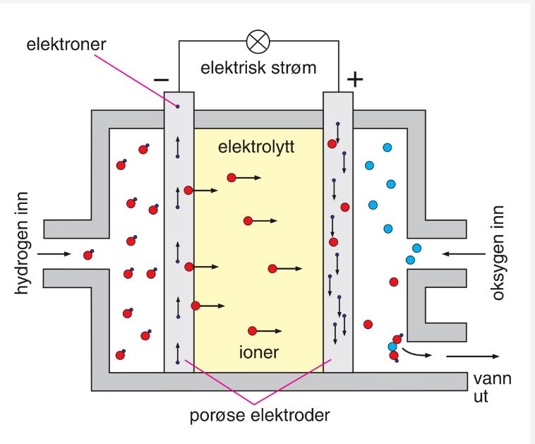 En brenselcelle konverterer kjemisk energi i et brensel til elektrisk energi gjennom en elektrokjemisk prosess, altså uten normal forbrenning. Navnet brenselcelle kommer av at hydrogen eller hydrokarboner, som er mye brukt som reaktant, betegnes som brennstoff.En brenselcelle består av to elektroder nedsenket i en elektrolytt. Det brennbare stoffet, som regel hydrogen eller hydrokarboner i gass- eller væskeform, ledes inn ved den ene elektroden, anoden, som er den negative elektroden. Det foregår en oksidasjonsreaksjon. Ved den andre positive elektroden, katoden, tilføres den andre reaktanten (oksygen). Det foregår en reduksjonsreaksjon. Er drivstoffet rent hydrogen, vil sluttproduktet kun være vann. Prinsippet for brenselcellen kan føres tilbake til den britiske fysikeren William Robert Grove (1811–1896), som i 1839 beskrev et eksperiment der han frembrakte elektrisk strøm ved å lede hydrogen og oksygen mot to atskilte elektroder senket i svovelsyre. De tekniske vanskelighetene med å lage en brukbar brenselcelle har imidlertid vært så store at det tok over 100 år å løse problemene. Omkring 1940 hadde man, vesentlig gjennom eksperimentering, funnet frem til en rekke virksomme typer, men ingen av dem var så velutviklet at de kunne være til noen praktisk nytte. Brenselceller har fått stor praktisk betydning innenfor romvirksomhet. (Illustrasjon og fakta: SNL)