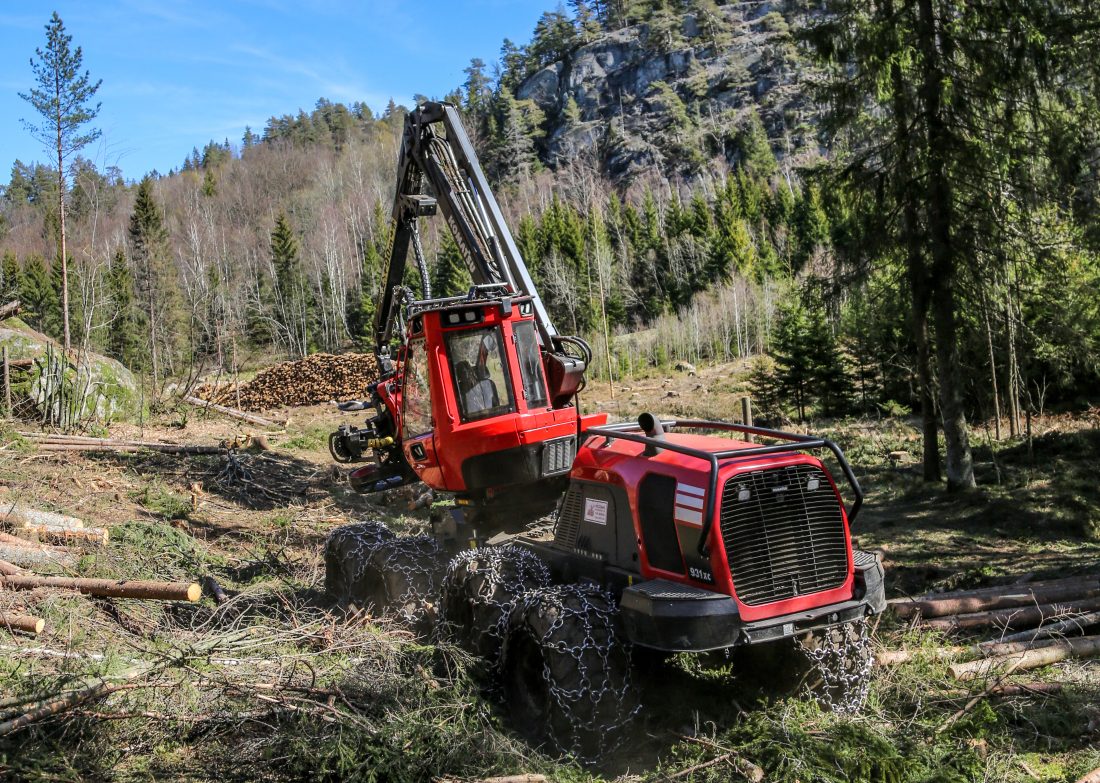 To av landets mest tradisjonsrike og sentrale skogbruksskoler står i fare for å bli lagt ned. (Foto: Runar F. Daler)