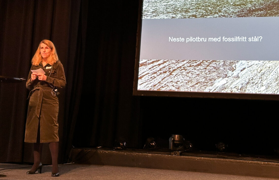 Statens vegvesen holder på å utarbeide en handlingsplan for indirekte utslipp i veiprosjekter, fortalte Gina Ytteborg, direktør for bærekraft i utbyggingsdivisjonen til etaten. (Foto: Runar F. Daler)