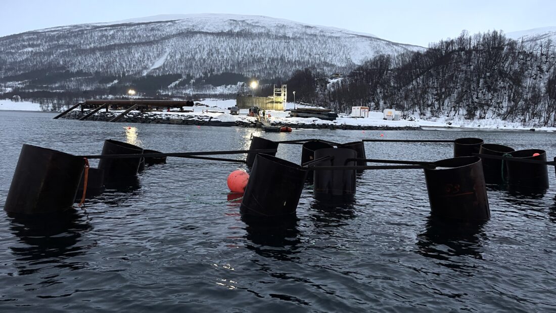 Pelegruppe i havet utenfor sjøfyyllinga ved Leirbakken. På fyllinga ses broas laveste betongsøyle. Til venstre ligger peler klare til å fløtes ut til peleriggen. (Foto: Knut Haarvik/Statens vegvesen)