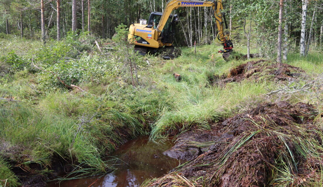Myrområder tilbakeføres til sin naturlige tilstand. (Foto: Njål Hagen)